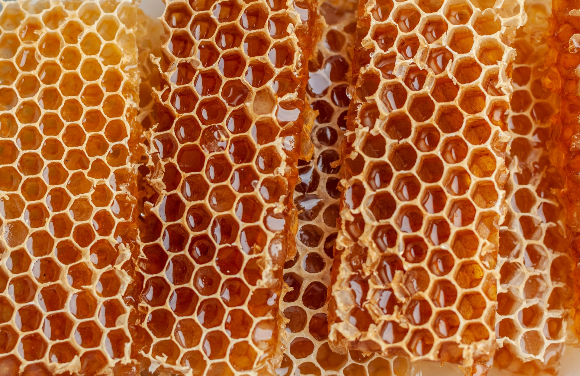 Propolis / bal