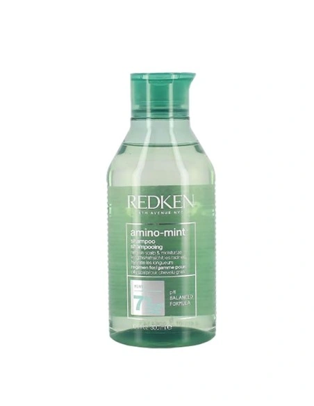 Redken Amino Mint Shampoo